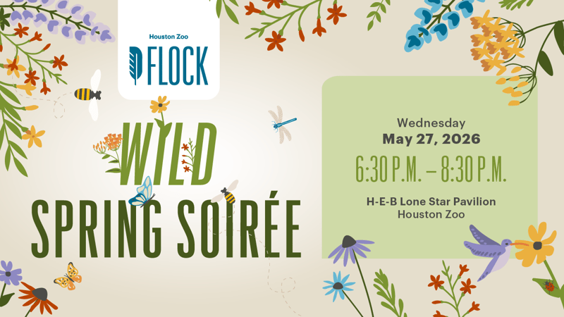 Flock_SpringEvent_2026_Web_Website Flock Page
